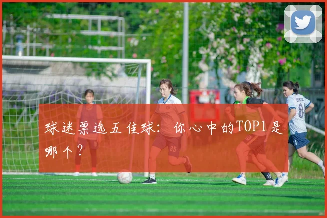 球迷票选五佳球：你心中的TOP1是哪个？