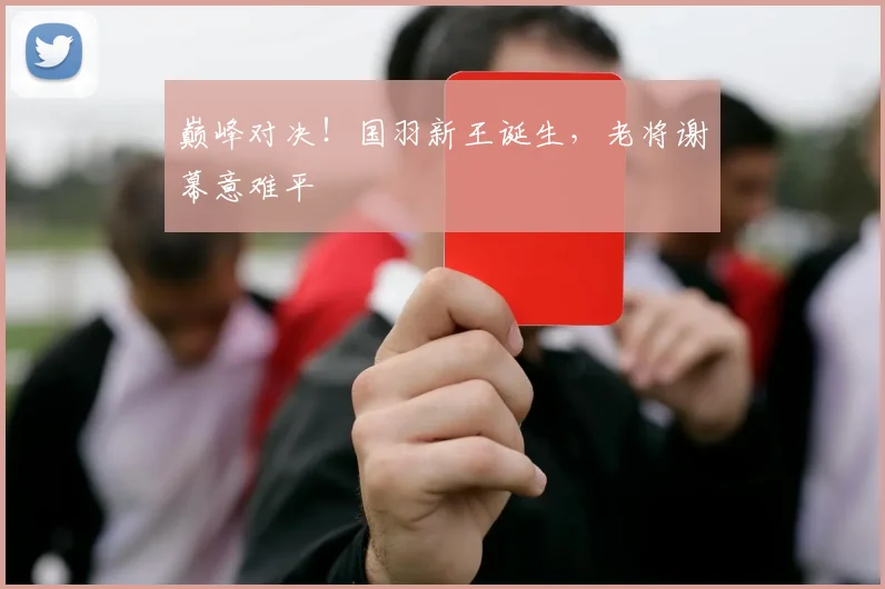 巅峰对决！国羽新王诞生，老将谢幕意难平