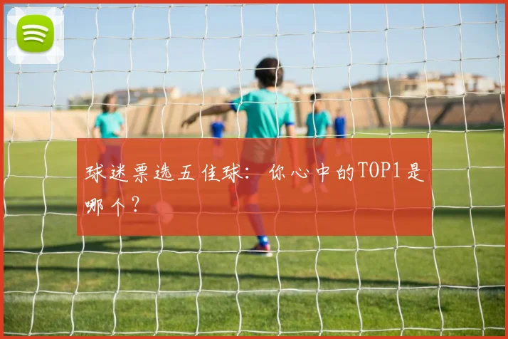 球迷票选五佳球：你心中的TOP1是哪个？